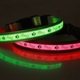 thumbnail image 3 of Houderco Collar LED Recargable Para Con De Para Paseos Nocturnos Y Visibilidad, 3 of 8