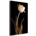 thumbnail image 2 of Tangletown Fine Art 'Classic Beauty' Graphic Art Print on Wrapped Canvas, 2 of 2