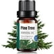 thumbnail image 1 of Aceites Esenciales Aromaterapia Uva Natural Pino Conjunto con Caja de Regalo Exquisita 10 ML, 1 of 6