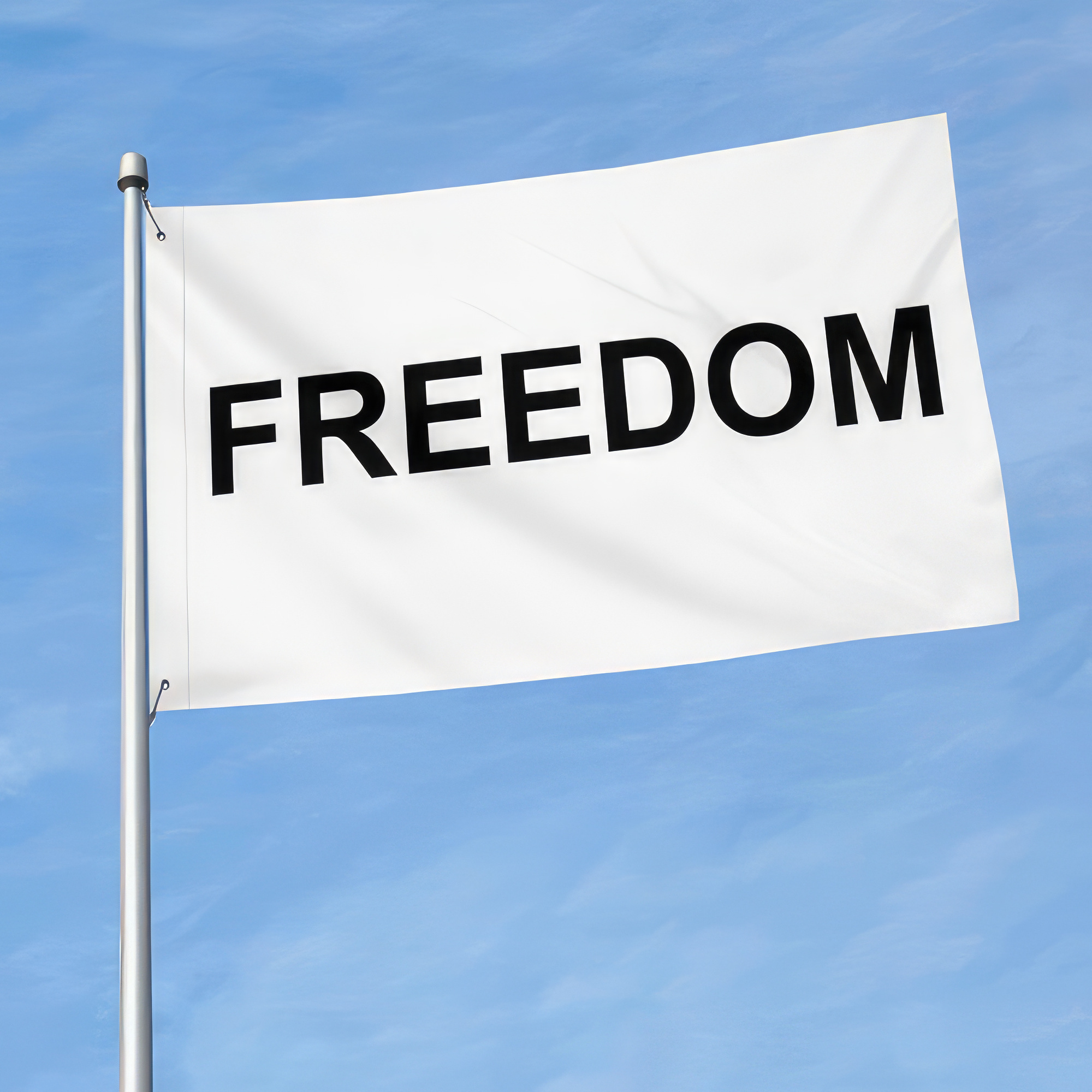 Freedom Flag 3x5 Ft Double Sided American Flags for Outside Freedom Flags Banner for Garden Yard Home Patio Decoration Outdoor Indoor Display
