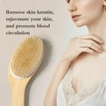 thumbnail image 5 of Natural Boar Bristle Dry Body Brush with Ergonomic Wooden Handle - Skin Exfoliator for Cellulite Treatment, Lymphatic Massage & Improved Circulation - for Wet or Dry Brushing, 5 of 9