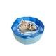thumbnail image 1 of Piscina plegable para mascotas, piscina plegable para hámster, conejo, bebé, gato, 1 of 8