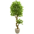 thumbnail image 1 of Nearly Natural 5682 6.5 ft. Jingo Artificial Tree in Sand Colored Planter, 1 of 1