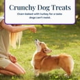 thumbnail image 6 of Blue Buffalo Basics Crunchy Dog Biscuits, Skin & Stomach, Turkey, Chicken Free, 6oz Bag, 6 of 12