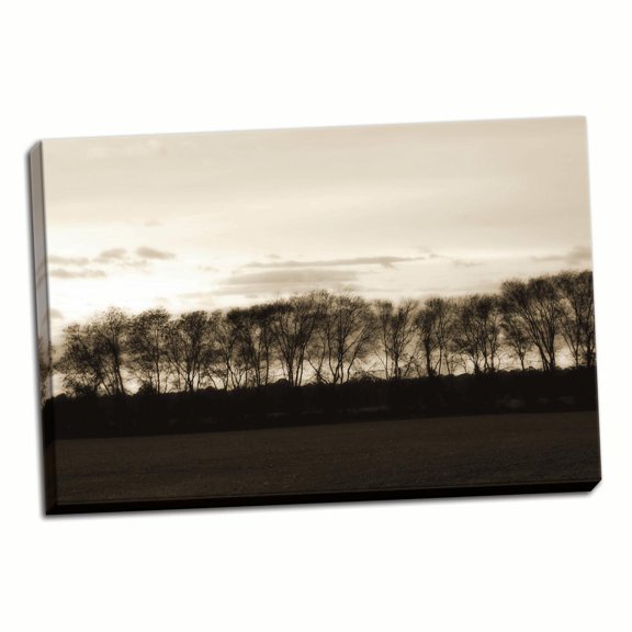 Gango Home Decor Winter Sunset Sepia II by Alan Hausenflock (Ready to Hang); One 36x24in Hand-Stretched Canvas