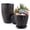 Black Gold, variant on FOUKUS 6 inch Plastic Plant Pots: 5 Pack Indoor Planters with Drainage and Tray Outdoor Flower Pots, Multicolor