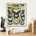 thumbnail image 5 of Epic Graffiti'Papillons 2' by Susan Ball, Giclee Canvas Wall Art, 20"x24", 5 of 8