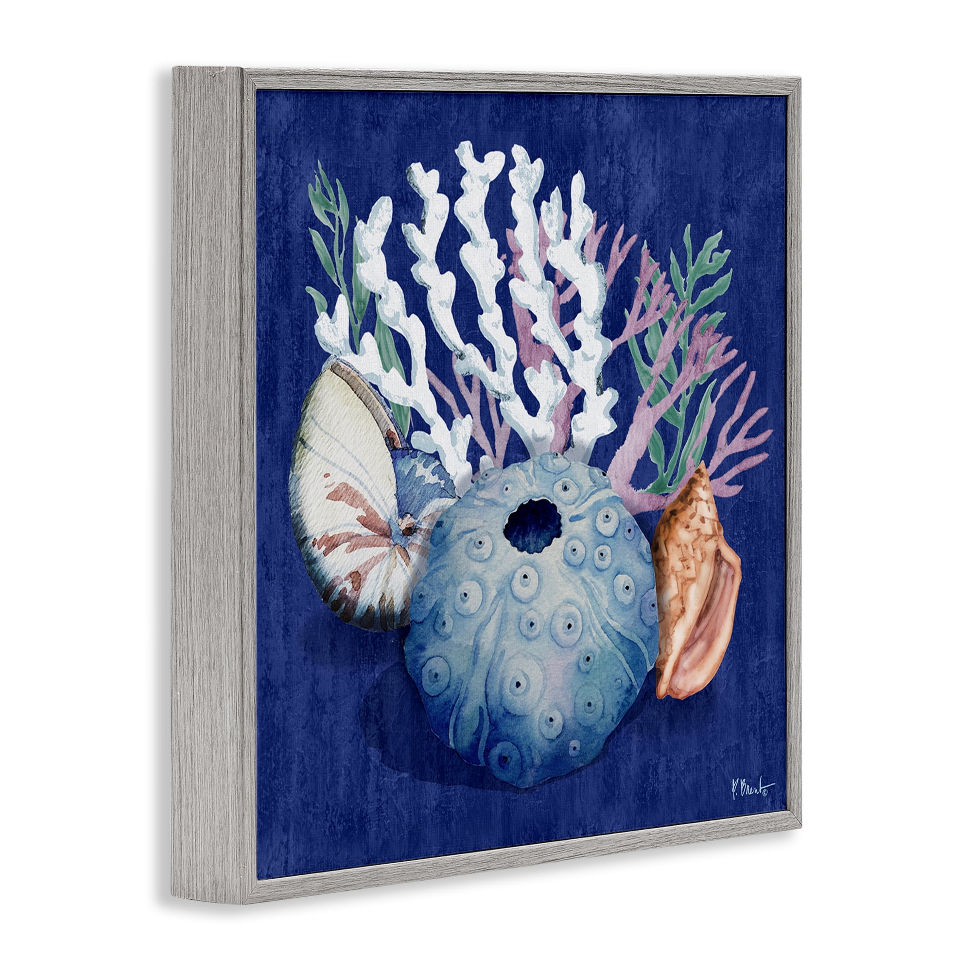 Stupell Industries Sea Urchin & Coral Coastal Painting Gray Framed Art Print Wall Art, 12 x 12