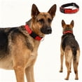 thumbnail image 1 of Leashes for Double Layer Fabric Breathable Reflective Design Suitable for Senior Dogs with Shaped Collar and Enhanced Features, 1 of 5