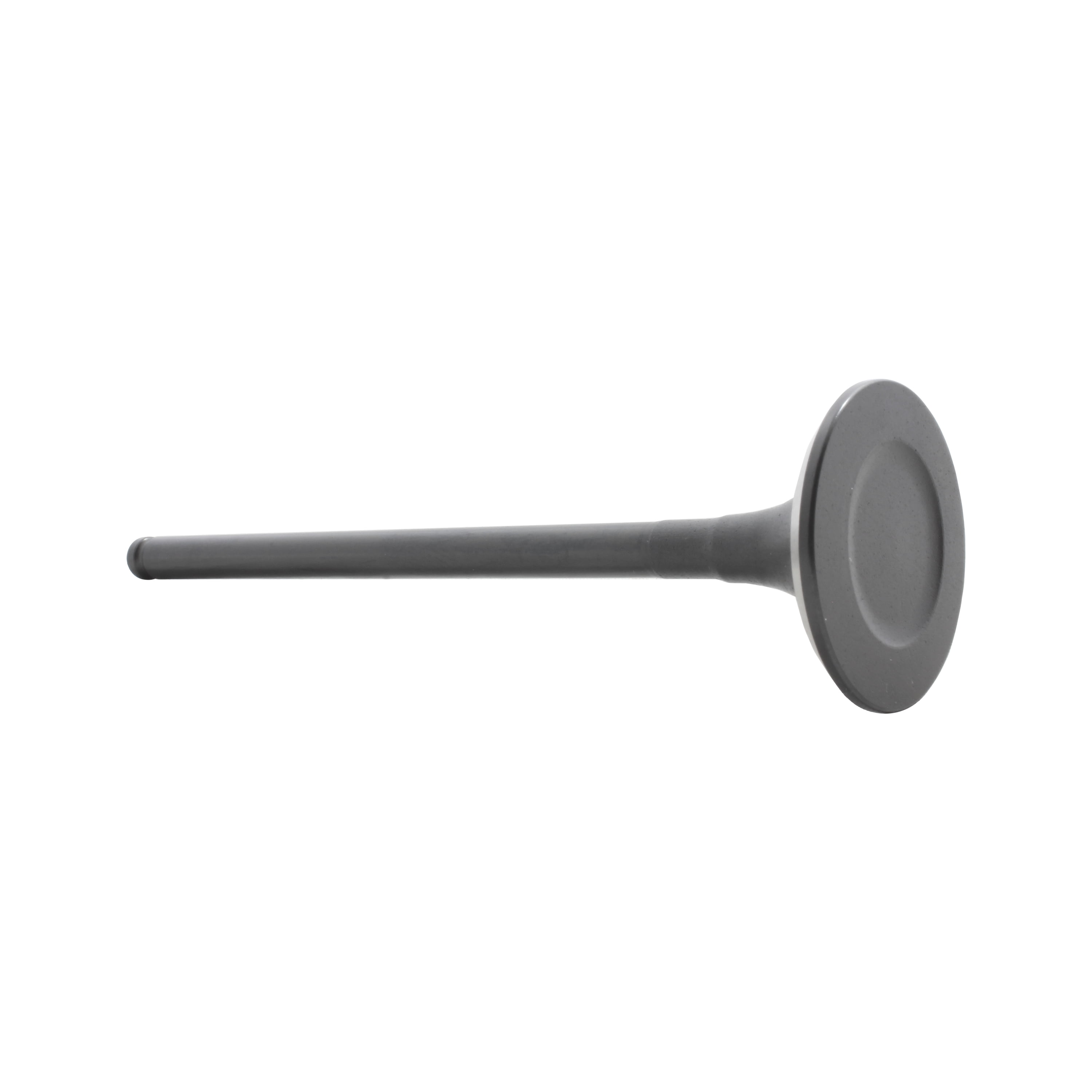 DNJ EV168 Engine Cylinder Head Valve Train Exhaust Valve
