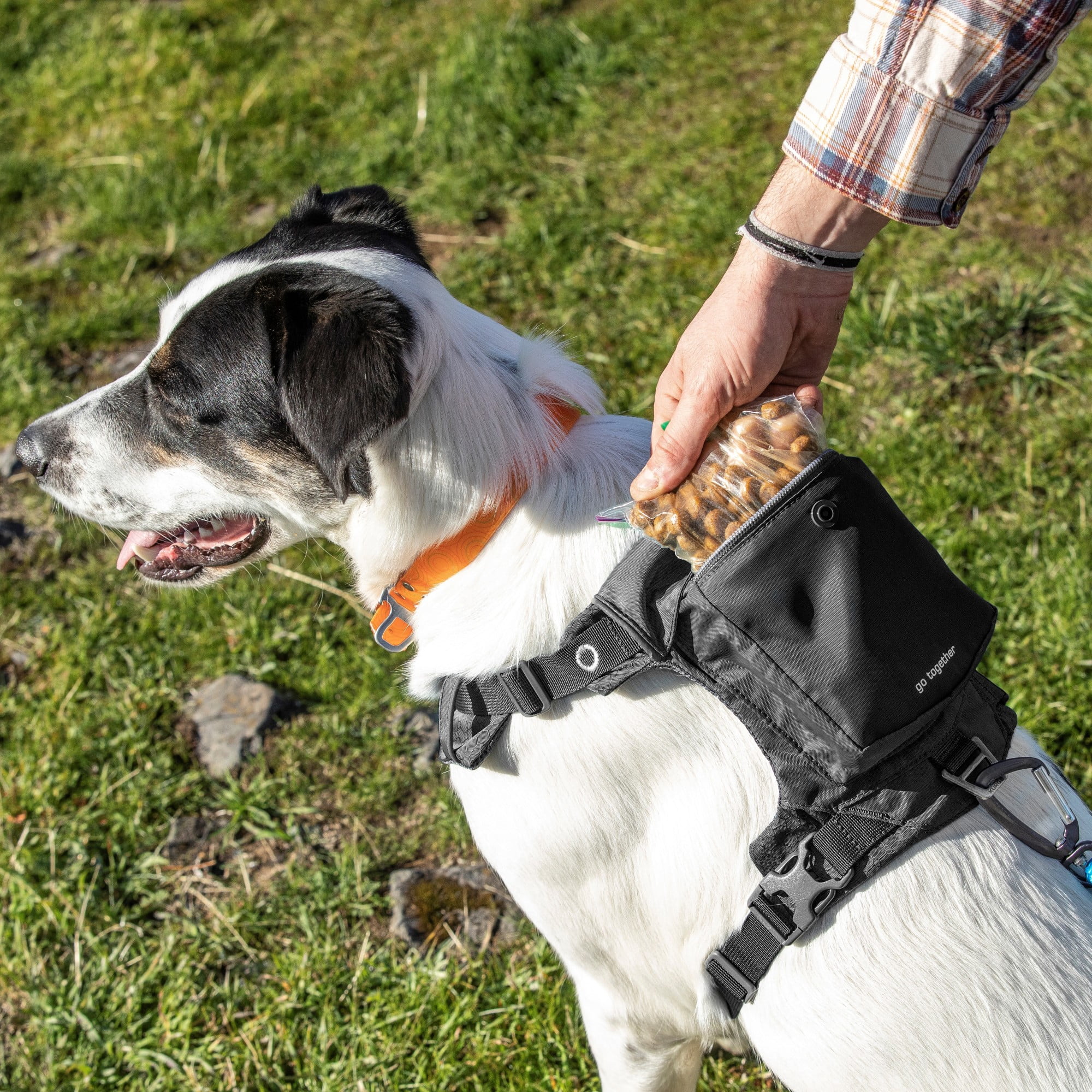Kurgo Stash n’ Dash Dog Harness, Folds into a Pouch, for Running, Hiking, Reflective, Black, Medium