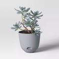 thumbnail image 3 of 8"x8" Self Watering Plastic Plant Pots, Durable Breathable Flower Planters, Indoor Outdoor Universal Use, Convenient Water Absorption Design for Garden Balcony Home Plant Cultivation, 3 of 4