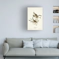 thumbnail image 3 of John James Audubon 'Song Sparrow' Canvas Art, 3 of 3