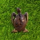 thumbnail image 1 of Estatua de de madera imitada Escultura de césped de tortuga en miniatura marino sanía de resina Patios traseros Camas Flor Macarena Estatua de tortugas, 1 of 8