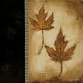 thumbnail image 2 of Poloson, Kimberly 12x12 Gold Ornate Wood Framed with Double Matting Museum Art Print Titled - Maple Leaves II, 2 of 4