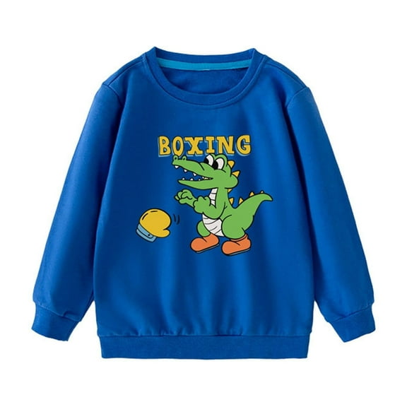 CYRBOKO Boy's Pullover Sweatshirts, Pullover Autumn Cotton Crew Neck Tops with Long Sleeve Blue Size 6-7 T
