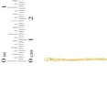 thumbnail image 4 of Floreo 10k Yellow Gold 1.5mm Solid Spiral Rope Multi Diamond Cut Chain Necklace, 4 of 4