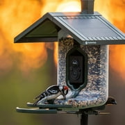 Feathersnap Scout WiFi Solar-Powered Smart Bird Feeder