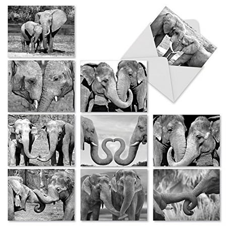 M2370TYG Trunks Of Love: 10 Assorted Thank You Note Cards Featuring Sweet and Loving Elephant Couples Holding Each Others Trunks, Stationery with