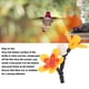 thumbnail image 4 of Comedero Para Colibríes DIY, Decoración De Flores, Kit De Reciclaje De Botellas Con Ventosas Para Jardín Al Aire Libre, Patio, 4 of 7