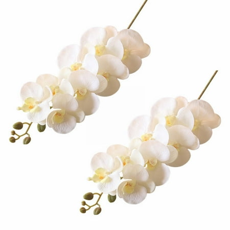 https://i5.walmartimages.com/asr/ef40360c-0a72-42d1-9b1b-56bc35f859c2.5ff8ba21378432e3d7e437b0e65f48fa.jpeg?odnHeight=450&odnWidth=450&odnBg=ffffff
