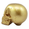 thumbnail image 3 of Pirate's Loot Gold Skull Statue Day Of The Dead Skull Head Gothic Resin Figurine, 3 of 5