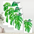 thumbnail image 4 of Designart ' Close Up Of Tropical Leaf Of Monstera I ' Farmhouse Canvas Wall Art Print, 4 of 4