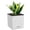 White, variant on Lechuza USA 5.25" Tortilla Brown and Black Cube Planter