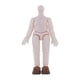 thumbnail image 4 of Cuerpo de muñecas CUTICAT para muñeca OB11 Piezas de repuesto, 4 of 8