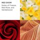 thumbnail image 5 of Set de regalo de perfume Elizabeth Arden Red Door para mujer 100 mL, 3 piezas, 5 of 9