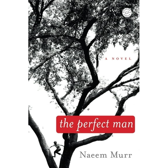 The Perfect Man : A Novel (Paperback)