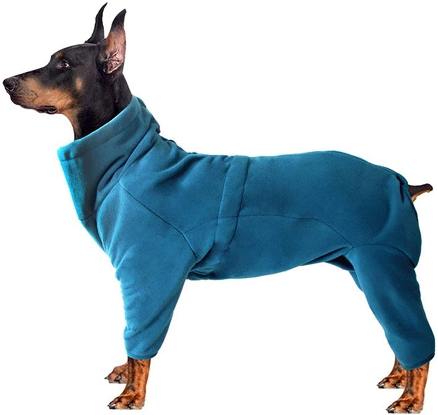 female dog jackets