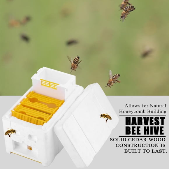 Ejoyous Ruche de Récolte, Boîte Roi d'Apiculture Boîte de Pollinisation, Ruche de Récolte Boîte Roi d'Apiculture Boîte de Pollinisation Outil d'Apiculture