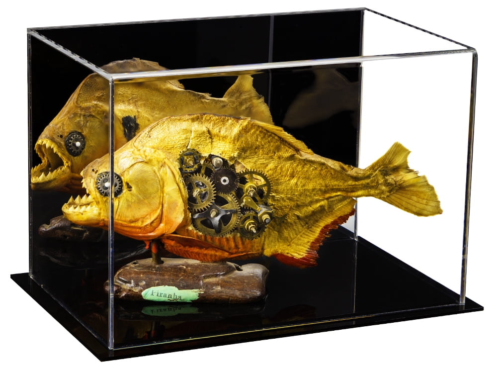 Acrylic Table Top Display Case Small Rectangle Box with Mirror 9.5" x