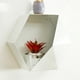 thumbnail image 2 of Maceta moderna de pared para flores, contenedor decorativo para plantas. Blanco 35cm, 2 of 9