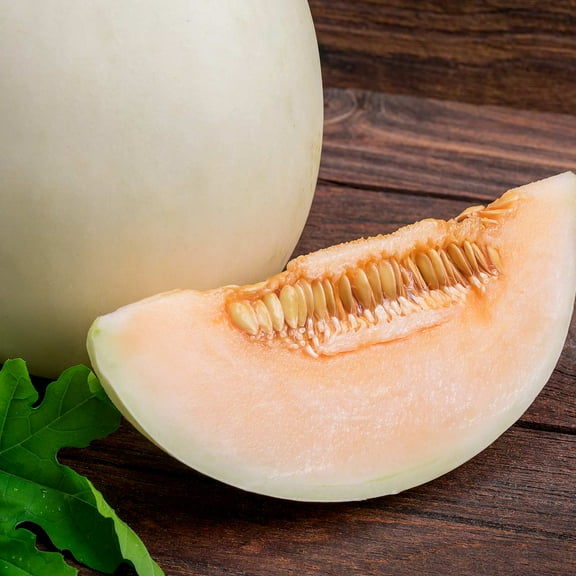 Honeydew Melon Garden Seeds - Orange Flesh - 1 Oz - Non-GMO, Heirloom Vegetable Gardening Seed - Honey Dew Fruit