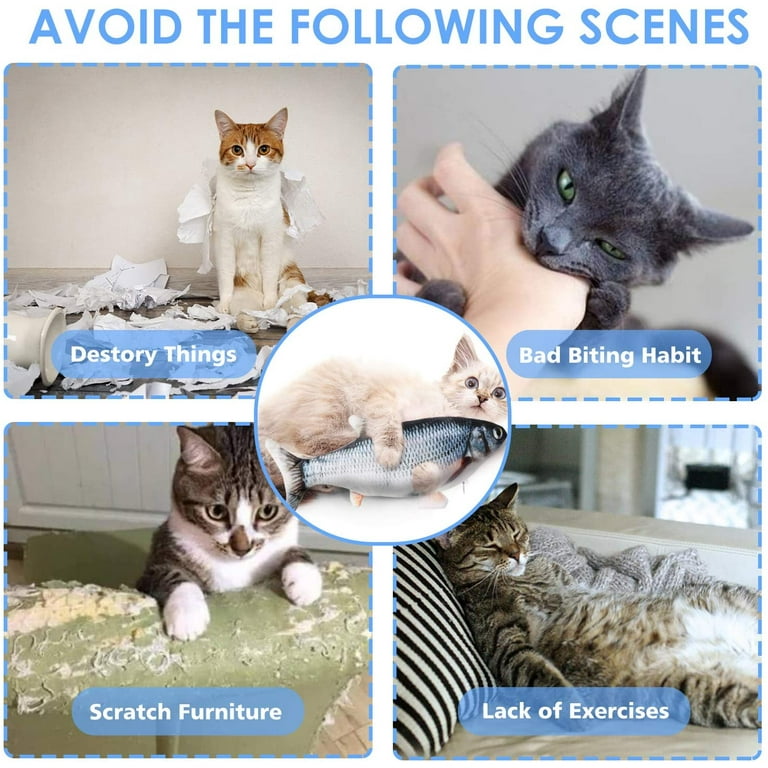 Tiny tuna cat toy deals