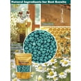 thumbnail image 7 of Charmonic 1.1lb/500g Hard Wax Beads for Hair Removal, Depilatory Wax Beans(chamomile), 7 of 7