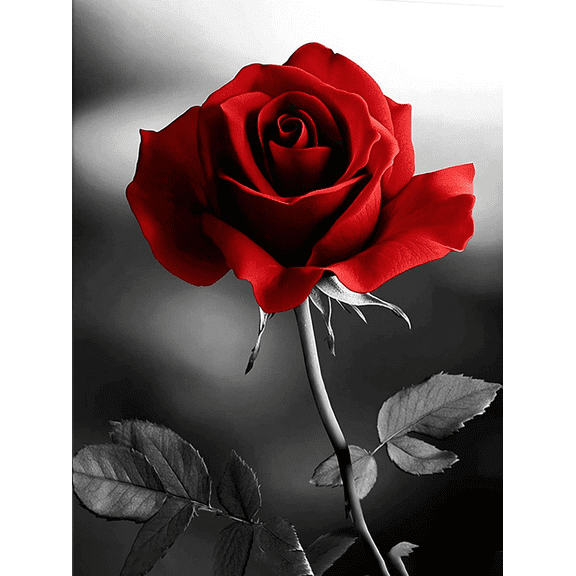 Red Rose Floral Decoration Painting/Canvas Print， Suitable for Decorating Living Room， Bedroom， Dining Room， Kitchen， Office， Hotel， Study Room， Cafe， Bar， and Apartment Walls.