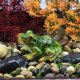 thumbnail image 3 of Estatuilla de rana en miniatura de 2 uds, decoración de pecera, estatua de tortuga de jardín de hadas, adorno de decoración interior y exterior para paisaje, 3 of 5