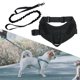 thumbnail image 4 of Arnés suave para perros Chaleco Malla interna Clip de correa frontal Conjunto negro l Sunnimix Perros arnés chaleco, 4 of 7