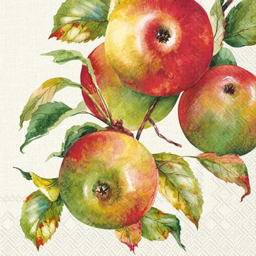 Party Napkins Disposable 3-Ply Paper Lunch Napkin Pack, 6.5" x 6.5", Home Grown Apples, 20-Count$$Home Decor, Kitchen, & Other