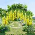 thumbnail image 4 of Clearance Under 5$ Household Imitation, FNGZ Wisteria Flowers 12 Pieces Lmg210605123 Plus Color Yellow Hanging Bushy (Each 45Inch) Ratta Wisteria 12 Vine Artificial Flower Silk Artificial Flowers, 4 of 4