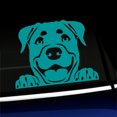 thumbnail image 1 of Peeking Rottweiler - Vinyl Car Decal - Choose Color - [TURQUOISE], 1 of 1