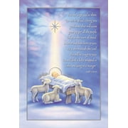 Designer Greetings Baby Jesus and Star: A Savior Has Been Born Box of 18 Religious Christmas Cards