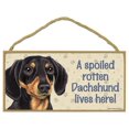 thumbnail image 1 of Sjt Enterprises Inc. Un Perro Salchicha Podrido Mimado (Negro Y Fuego) Vive Aquí Placa De Madera De 5.0 X 10.0 In (Sjt61931), 1 of 5