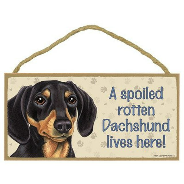 Sjt Enterprises Inc. Un Perro Salchicha Podrido Mimado (Negro Y Fuego) Vive Aquí Placa De Madera De 5.0 X 10.0 In (Sjt61931)