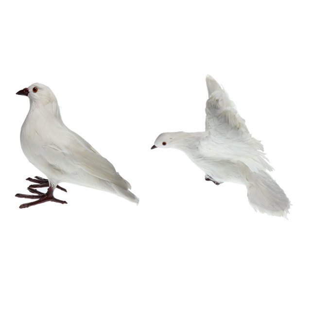 2 Piezas de Pájaro de Paloma con Plumas Artificiales Decoración de Estatuil Pájaro C + a de Pie Sunnimix Artificial Pigeon Decoy