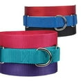 thumbnail image 3 of Guardian Gear Nylon Martingale Dog Collar, Ultra Violet, 14-20in, 3 of 3