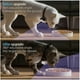 thumbnail image 3 of Catcam Pro, Cat Cam Pro 2.0, HD 1080p Video Camera Mini Collar Camera, 3 of 4